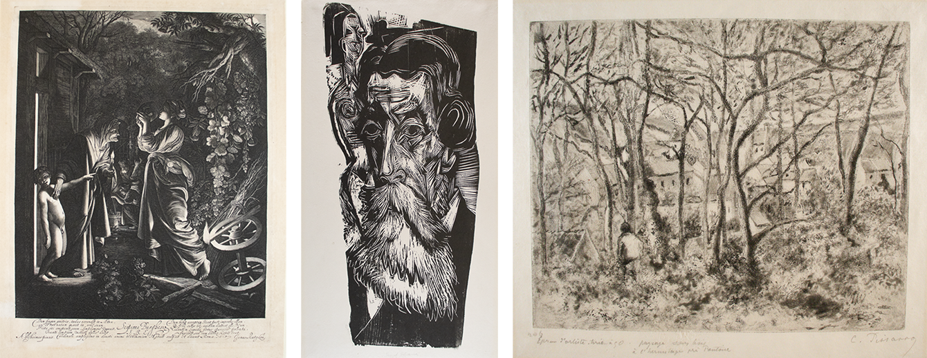 Museum of Art and Archaeology new acquisitions